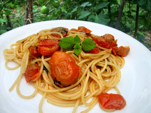 アウトドア料理-トマト畑のパスタ